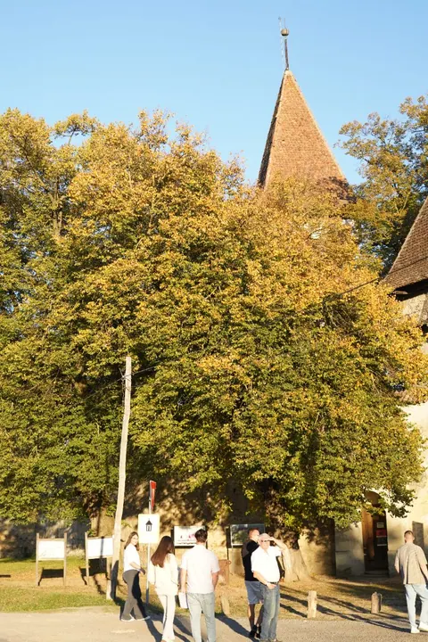 A moment from the Art & Philosophy Retreat in Transylvania, photo 2