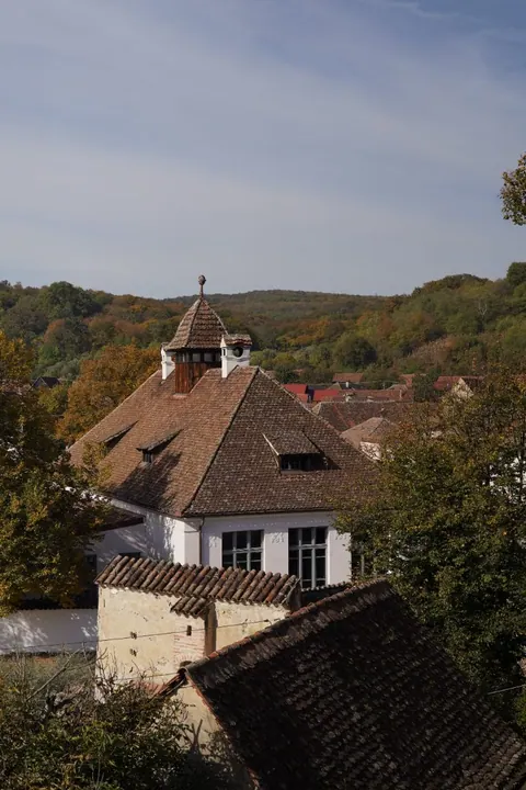 A moment from the Art & Philosophy Retreat in Transylvania, photo 7